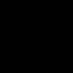 Meet your Posher, Odalys